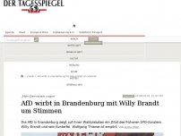 Bild zum Artikel: AfD wirbt in Brandenburg mit Willy Brandt um Stimmen