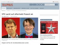 Bild zum Artikel: SPD sackt auf elfeinhalb Prozent ab