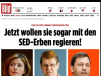 Bild zum Artikel: SPD-SPITZE VERZWEIFELT - Jetzt wollen sie sogar mit den SED-Erben regieren!