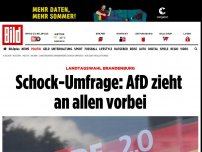 Bild zum Artikel: Landtagswahl Brandenburg - Schock-Umfrage: AfD zieht an allen vorbei