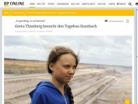 Bild zum Artikel: „So gewaltig, so verheerend“: Greta Thunberg besucht den Tagebau Hambach