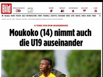 Bild zum Artikel: 6 Tore von BVB-Wunderkind - Moukoko (14) nimmt auch die U19 auseinander