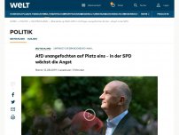 Bild zum Artikel: AfD unangefochten auf Platz eins – in der SPD wächst die Angst