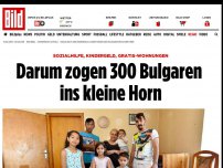Bild zum Artikel: Sozialhilfe und Kindergeld - Darum zogen 300 Bulgaren ins kleine Horn