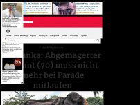 Bild zum Artikel: Abgemagerter Elefant (70) wird als Attraktion missbraucht