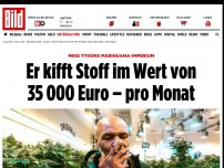 Bild zum Artikel: Box-Legende Mike Tyson - „Rauchen monatlich 10 Tonnen Gras auf der Ranch“