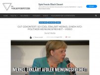 Bild zum Artikel: Gut gekontert: So cool erklärt Merkel einem AfD-Politiker Meinungsfreiheit – Video
