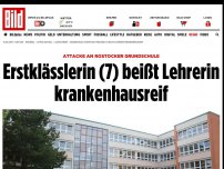 Bild zum Artikel: An Rostocker Grundschule - Zweitklässlerin (7) prügelt Lehrerin krankenhausreif