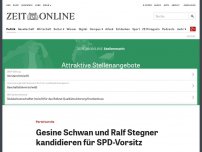 Bild zum Artikel: Parteivorsitz: Gesine Schwan und Ralf Stegner kandidieren für SPD-Vorsitz