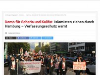 Bild zum Artikel: Demo für Scharia und Kalifat: Islamisten ziehen durch Hamburg – Verfassungsschutz warnt