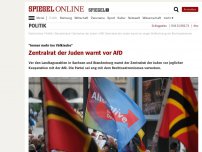 Bild zum Artikel: 'Immer mehr ins Völkische': Zentralrat der Juden warnt vor AfD