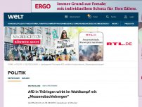 Bild zum Artikel: AfD in Thüringen wirbt im Wahlkampf mit „Massenabschiebungen“