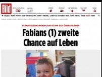 Bild zum Artikel: Transplantation überstanden - Fabians (1) zweite Chance auf Leben