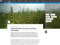 Bild zum Artikel: Hanf statt Milch: Ein Bauernhof geht neue Wege