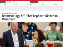 Bild zum Artikel: Brandenburgs AfD-Chef bepöbelt Kinder im Parlament