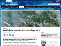 Bild zum Artikel: Brasilien: Waldbrände zerstören Amazonas-Regenwald