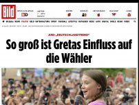 Bild zum Artikel: ARD-„DeutschlandTrend“ - So viel Einfluss hat Greta auf die Deutschen