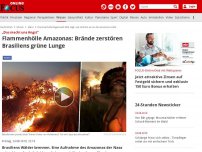 Bild zum Artikel: „Das macht uns Angst“ - Flammenhölle Amazonas: Brände zerstören Brasiliens grüne Lunge