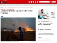 Bild zum Artikel: Regenwald-Brände in Brasilien - Amazonas-Brände: Experte macht düstere Prognose