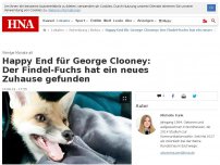 Bild zum Artikel: Happy End für George Clooney: Der Findel-Fuchs hat ein neues Zuhause gefunden