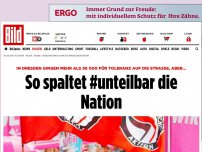 Bild zum Artikel: Großdemo in Dresden - So spaltet #unteilbar die Nation