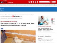 Bild zum Artikel: Tier hatte weder Wasser noch Futter - Mann aus Bayern fährt in Urlaub - und lässt Hund einfach in Wohnung zurück