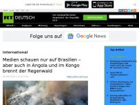 Bild zum Artikel: Medien schauen nur auf Brasilien – aber auch in Angola und im Kongo brennt der Regenwald