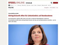 Bild zum Artikel: Grünenfraktionschefin: Göring-Eckardt offen für Linksbündnis auf Bundesebene