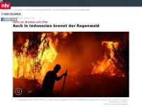 Bild zum Artikel: Nicht nur Brasilien betroffen: Auch in Indonesien brennt der Regenwald