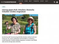 Bild zum Artikel: Lösung gegen Kuh-Attacken: Deutsche Urlauber werden eingezäunt