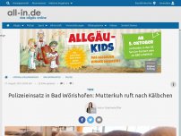 Bild zum Artikel: Polizeieinsatz in Bad Wörishofen: Mutterkuh ruft nach Kälbchen