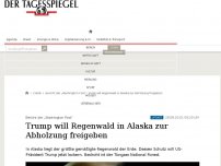 Bild zum Artikel: Trump will Regenwald in Alaska zur Abholzung freigeben