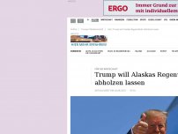 Bild zum Artikel: Für die Wirtschaft: Trump will Alaskas Regenwälder abholzen lassen