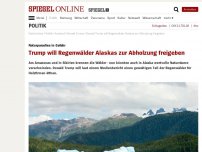 Bild zum Artikel: Naturparadies in Gefahr: Trump will Regenwälder Alaskas zur Abholzung freigeben
