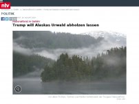 Bild zum Artikel: Nationalforst in Gefahr: Trump will Alaskas Urwald abholzen lassen