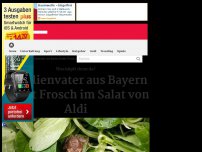 Bild zum Artikel: Familienvater aus Bayern findet Frosch im Salat von Aldi