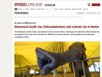 Bild zum Artikel: Für etwa 1,5 Millionen Euro: Dänemark kauft vier Zirkuselefanten und schickt sie in Rente