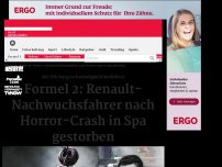 Bild zum Artikel: Formel-2: Schumi-Rennen in Spa nach Horror-Crash abgebrochen