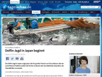 Bild zum Artikel: Umstrittene Tradition: Delfin-Jagd in Japan beginnt