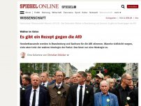 Bild zum Artikel: Wahlen im Osten: Es gibt ein Rezept gegen die AfD