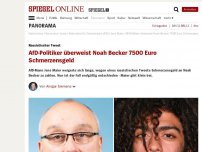 Bild zum Artikel: Rassistischer Tweet: AfD-Politiker überweist Noah Becker 7500 Euro Schmerzensgeld