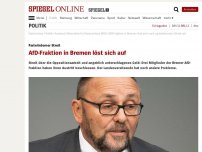 Bild zum Artikel: Parteiinterner Streit: AfD-Fraktion in Bremen löst sich auf