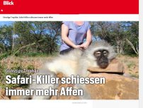 Bild zum Artikel: Günstige Trophäe: Safari-Killer schiessen immer mehr Affen