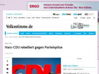 Bild zum Artikel: Harz-CDU rebelliert gegen Parteispitze