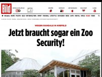 Bild zum Artikel: Wegen Randale in Krefeld - Jetzt braucht sogar ein Zoo Security!