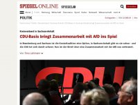 Bild zum Artikel: Kreisverband in Sachsen-Anhalt: CDU-Basis bringt Zusammenarbeit mit AfD ins Spiel