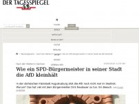 Bild zum Artikel: Wie ein SPD-Bürgermeister in seiner Stadt die AfD kleinhält