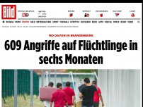 Bild zum Artikel: 160 davon in Brandenburg - 609 Angriffe auf Flüchtlinge in sechs Monaten
