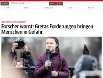 Bild zum Artikel: Forscher warnt: Gretas Forderungen bringen Menschen in Gefahr