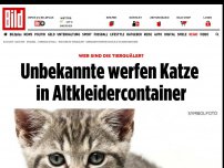 Bild zum Artikel: Wer sind die Tierquäler? - Unbekannte werfen Katze in Altkleidercontainer